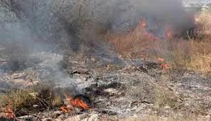 incendio de basura