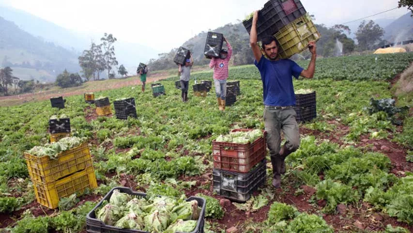 productores
