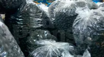 Precios de las caraotas golpea bolsillo de los guaros
