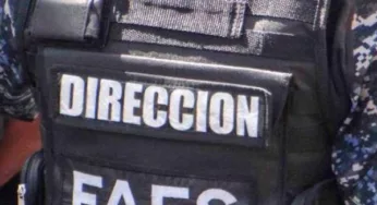 Provea: Ascienden a más de 1.600 las ejecuciones extrajudiciales en Venezuela