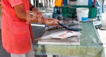 Venta de pescado en Barquisimeto va en caída por su elevado costo