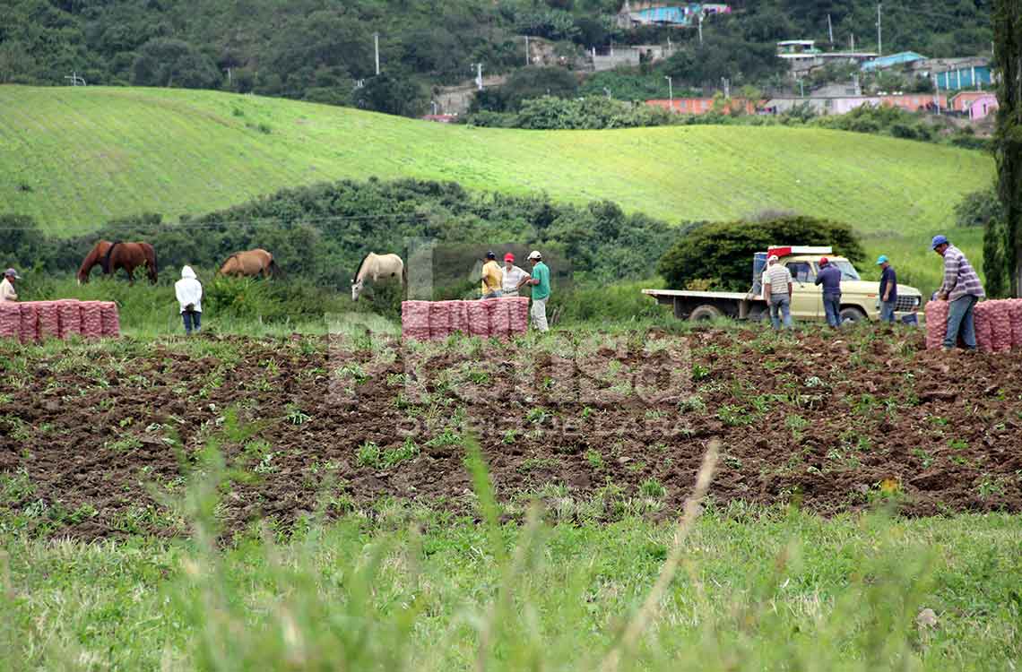 El sector agrícola clama por un seguro que proteja sus inversiones ante eventos climáticos extremos