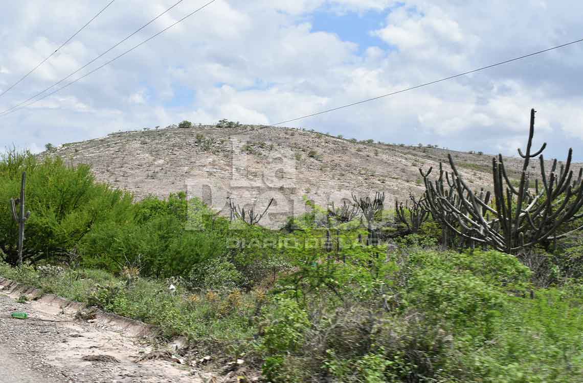 La deforestación amenaza los bosques xerófilos de Lara, poniendo en riesgo la biodiversidad y el equilibrio ecológico de la región