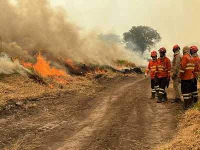 Más de 38.000 hectáreas arrasadas por incendios en Ecuador