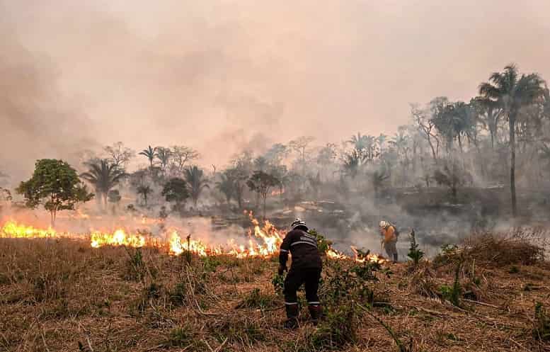 Más de 38.000 hectáreas arrasadas por incendios en Ecuador