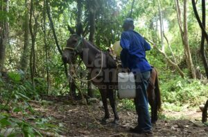 En una ciudad donde el agua escasea, Ernesto Álvarez ha encontrado en un oficio ancestral una solución para llevar el líquido vital a los hogares