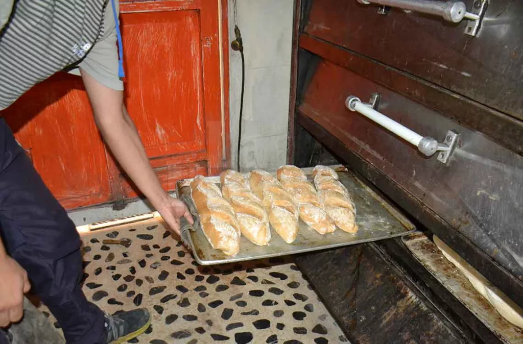 Panaderías en Lara 