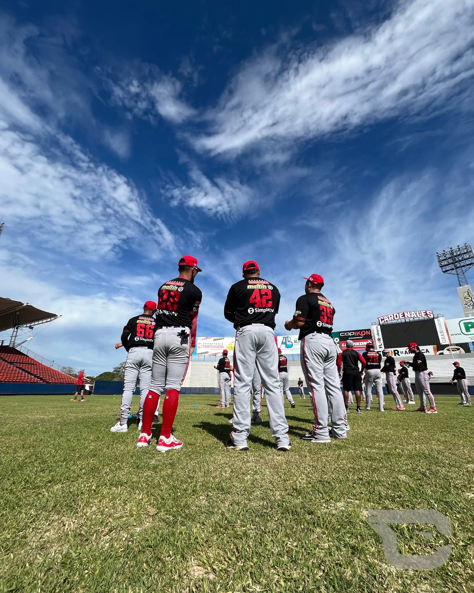 Cardenales