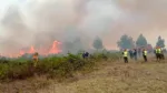 Incendios forestales