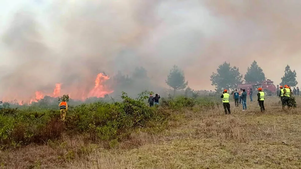 Incendios Forestales