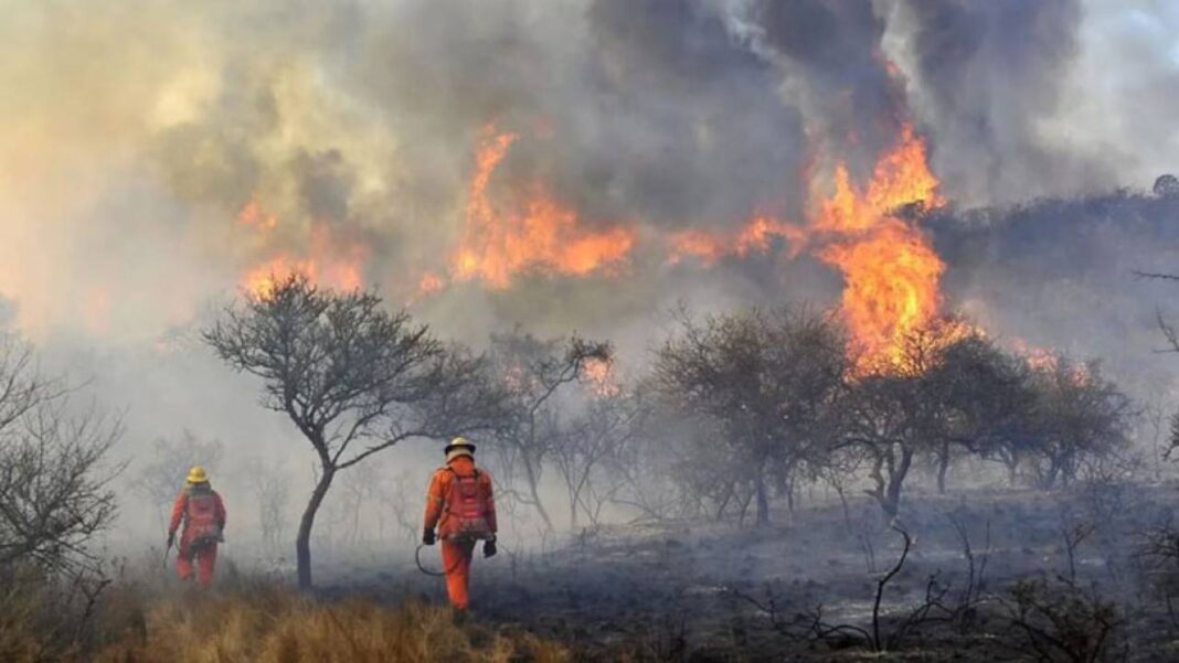 Perú detectó al menos 87 incendios forestales desde agosto