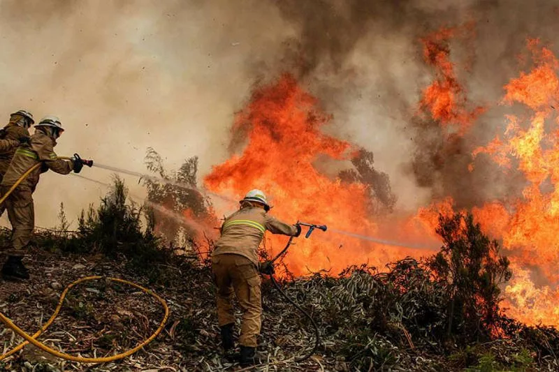 Incendios Forestales