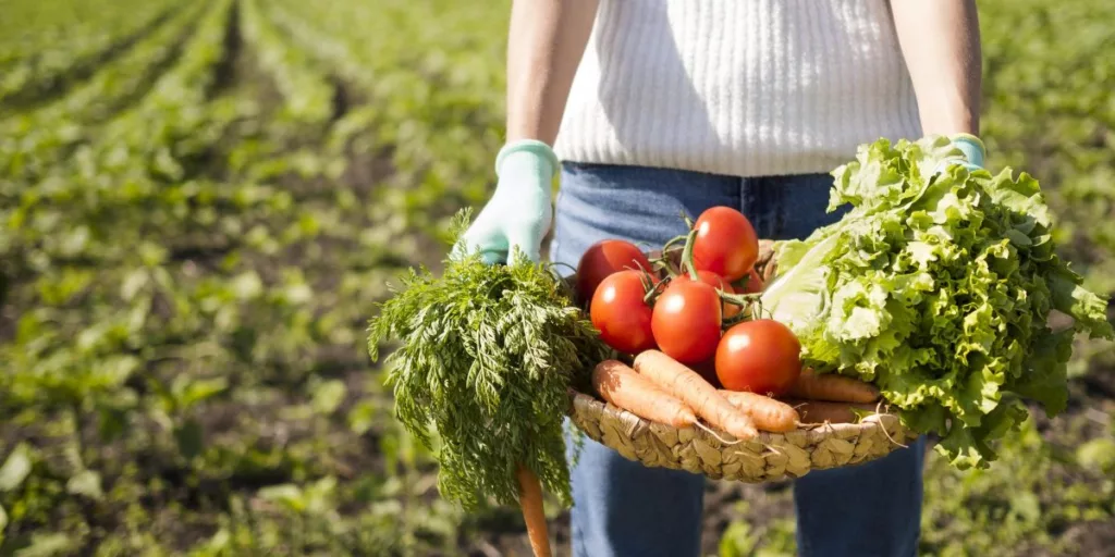 Día mundial de la alimentación 