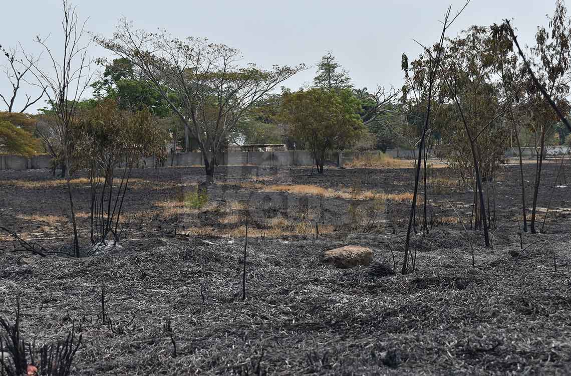 Incendios forestales