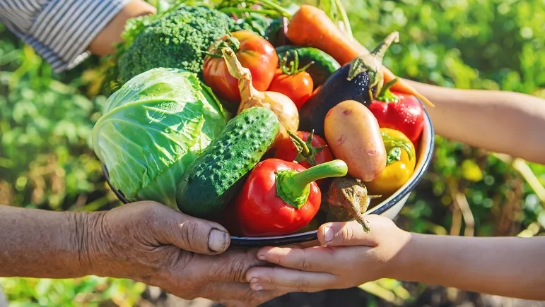 dia mundial de la alimentacion 1 jpg