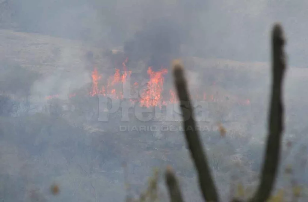 Incendios forestales 