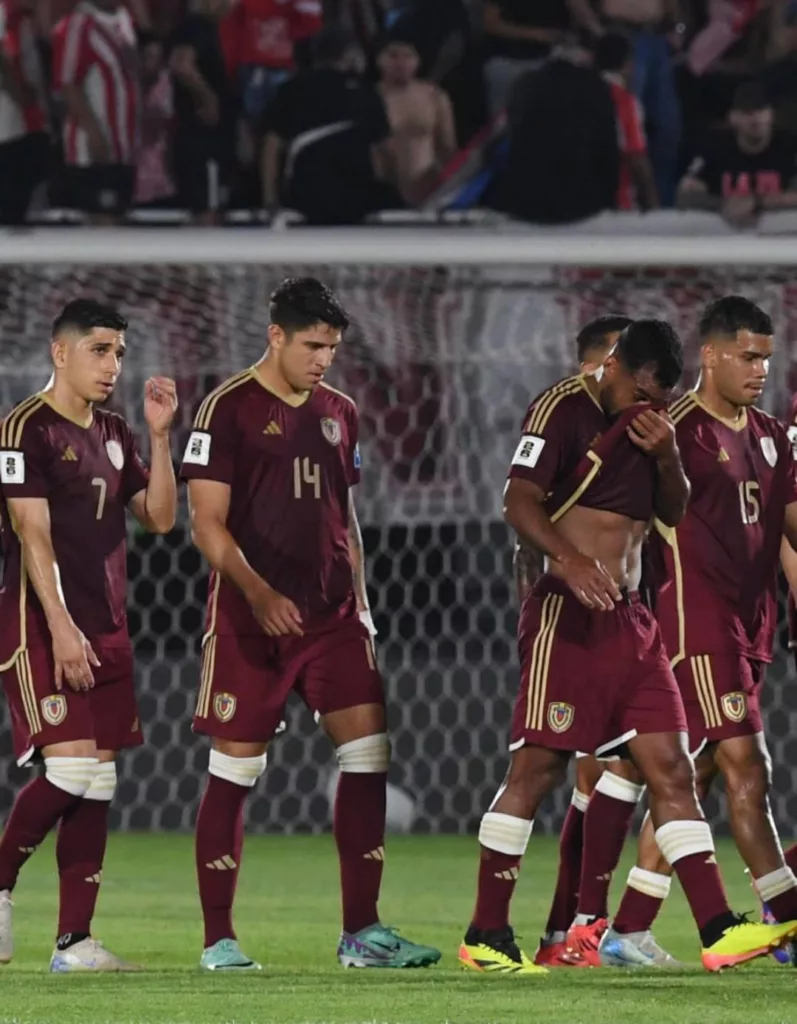 vinotinto 2