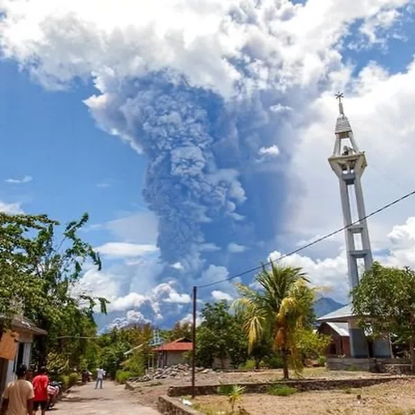 ceniza volcanica 3