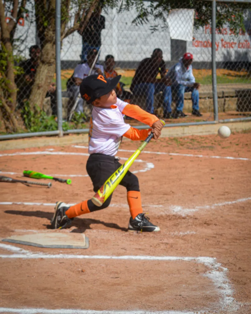 liga menor de beisbol 2