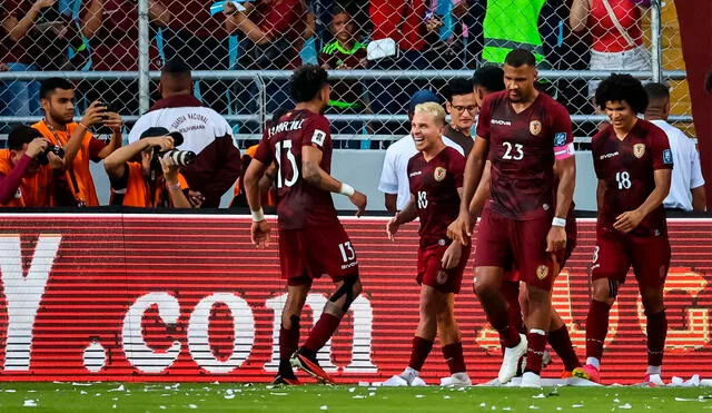 vinotinto