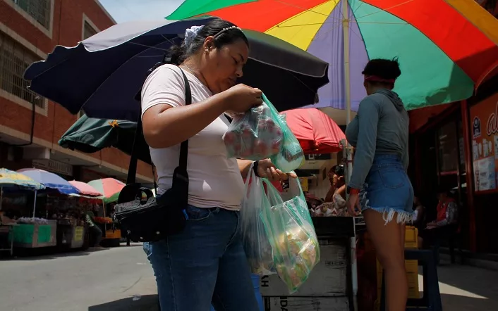 Alimentos 2