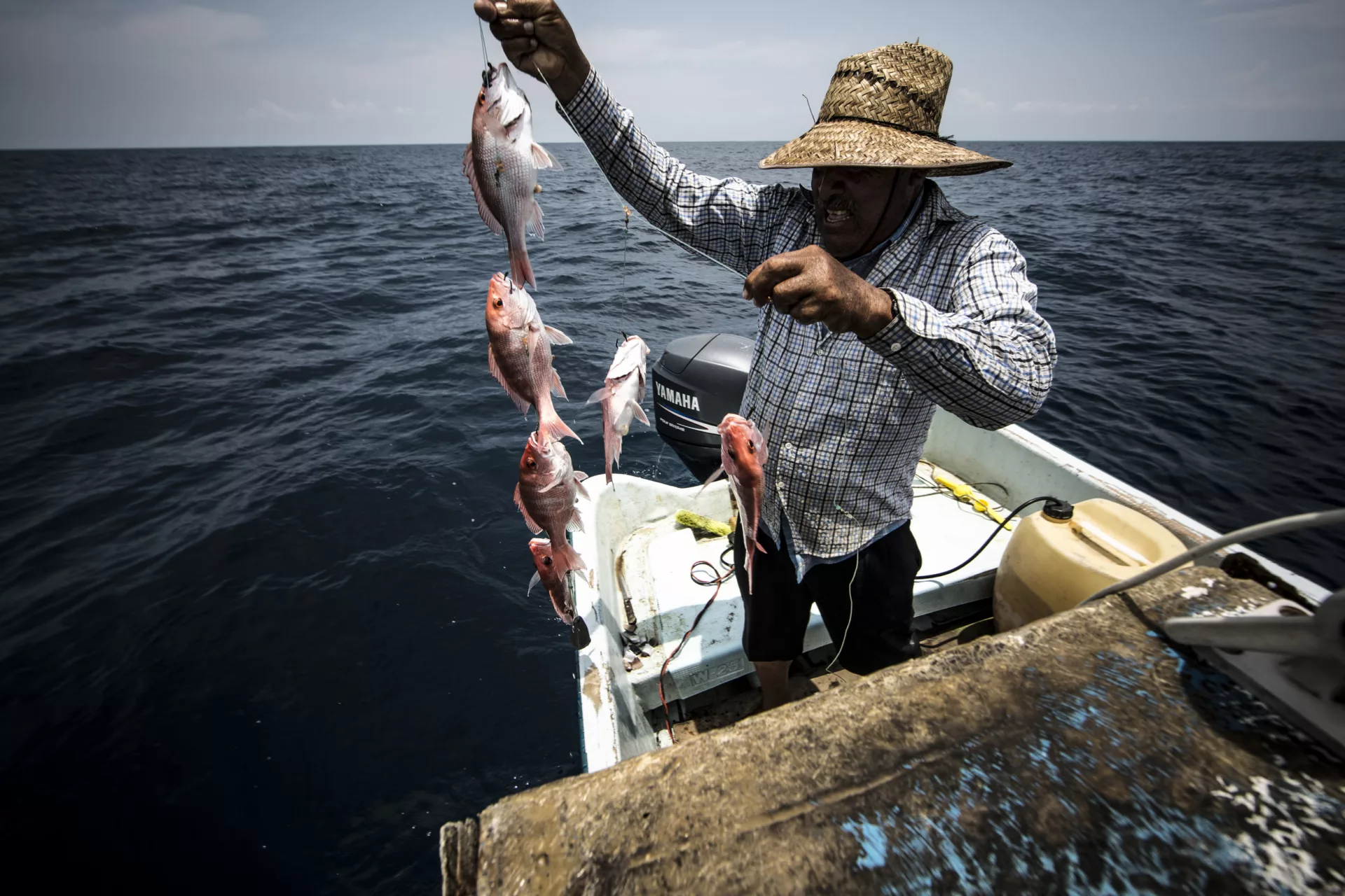 Pesca y acuicultura