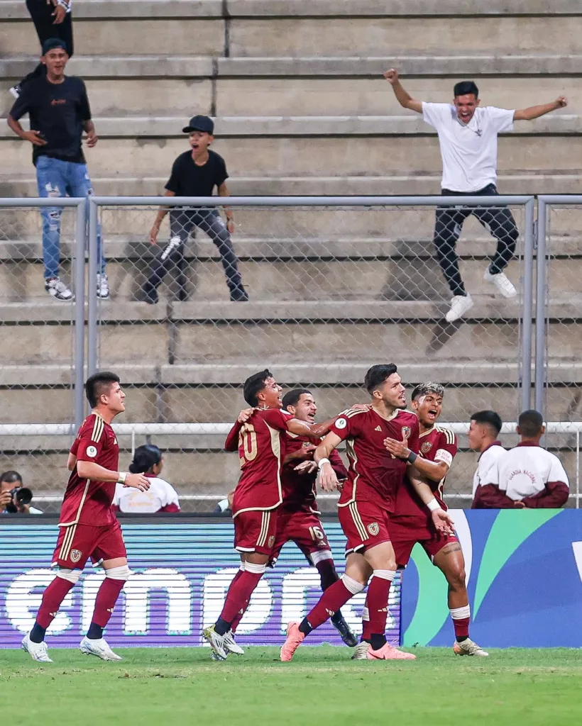 Vinotinto 3 1