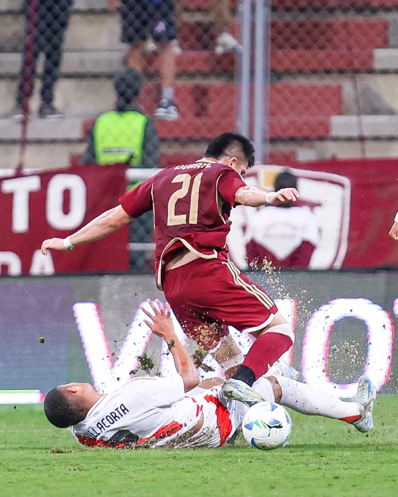 Vinotinto 5