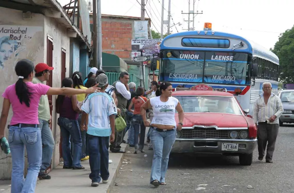 unidades de transporte 3