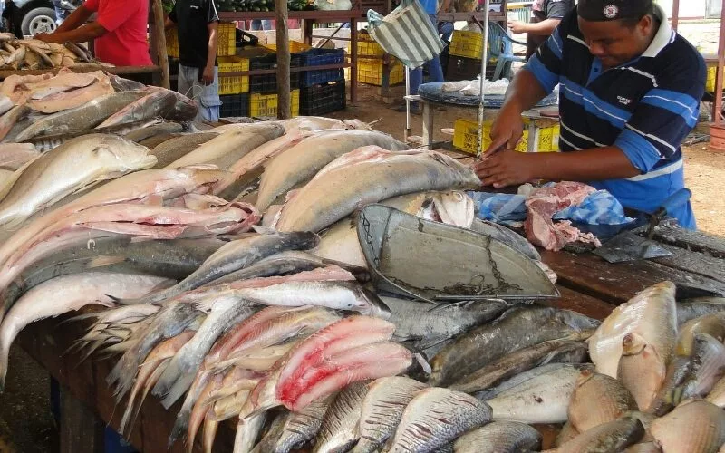 consumo de pescado