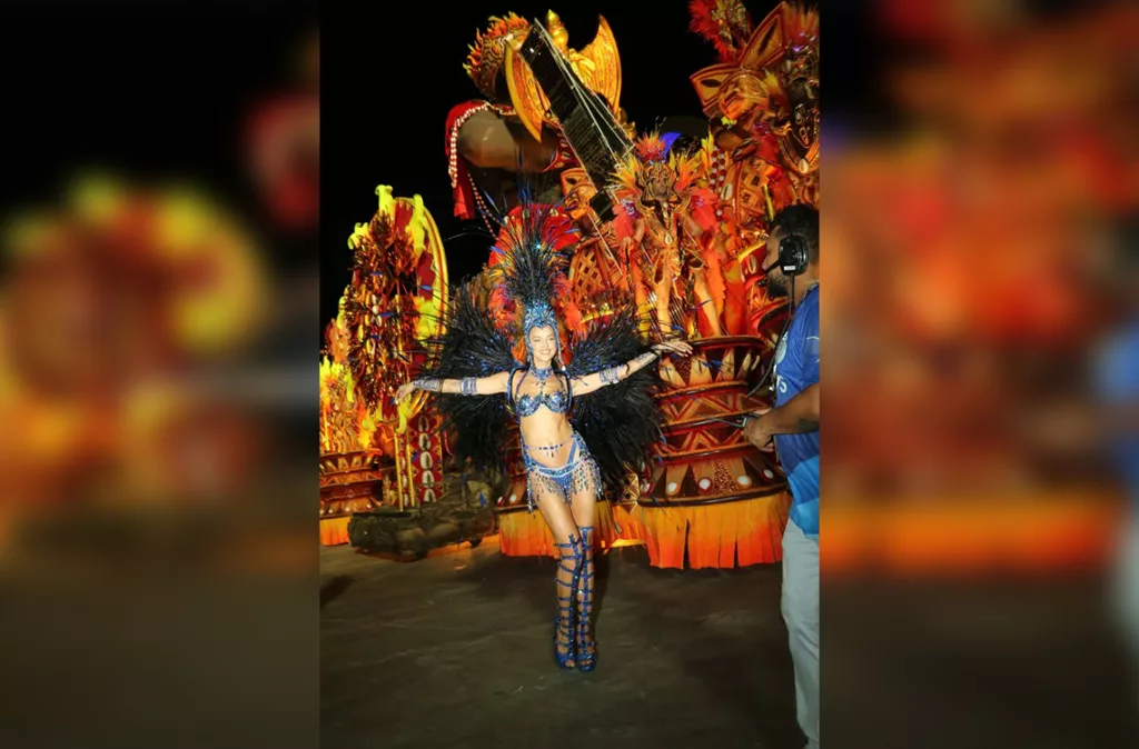 carnaval rio 20