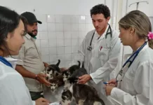 Hospital veterinario