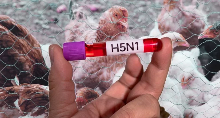 Apenas el viernes, la Secretaría de Salud del Gobierno federal había informado de la detección de este primer caso de gripe o influenza aviar A (H5N1) en la niña en el estado de Durango, vecino de Coahuila, tras una prueba confirmatoria del Instituto de Diagnóstico y Referencia Epidemiológicos (INDRE