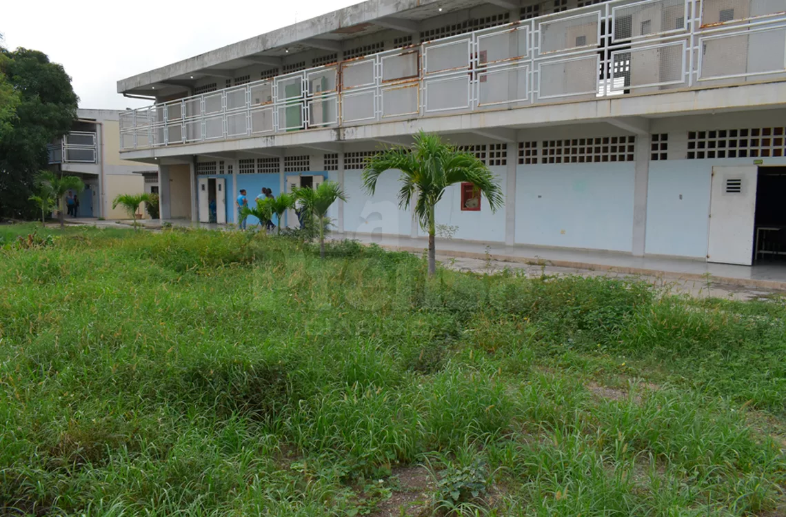 Piden desmalezar el Instituto de Educación Especial por riesgo de serpientes