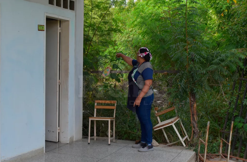 Piden desmalezar el Instituto de Educación Especial por riesgo de serpientes