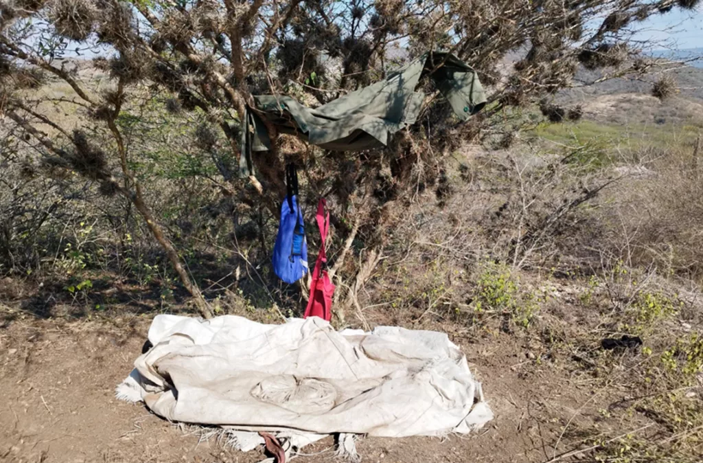 Alias el "Pavia" se escondía en cerros