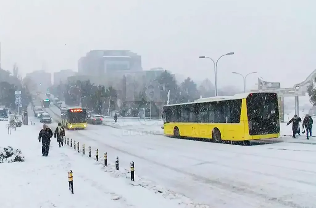 Ola de frío en Turquía causa daños y afecta la agricultura