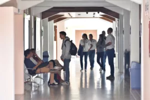 Bajo rendimiento