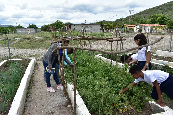 Villa Guadalupe