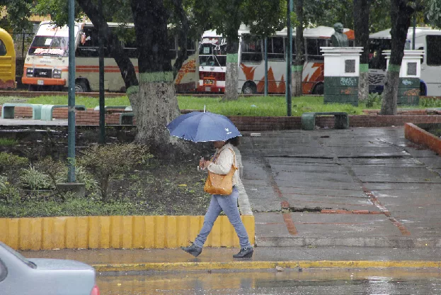 Inameh lluvias