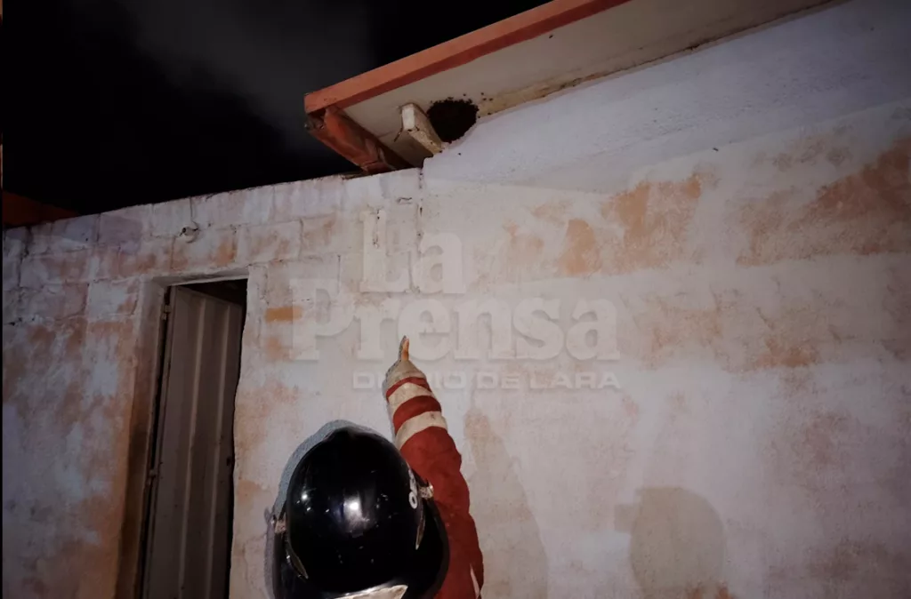 Abejas en riesgo por desequilibrio ecológico