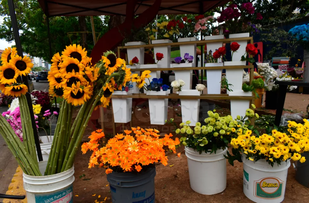Floristas ofrecen variedad de precios para este día de las madres