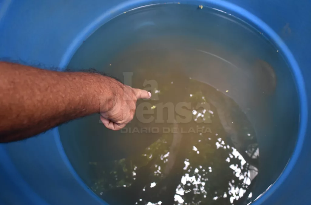 Deforestación y fallas en la dosificación de gas cloro y sulfato de aluminio afectan la potabilización del agua
