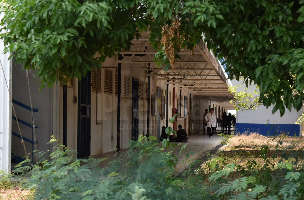 Gremios reportan caída de investigación agrícola