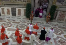 ingreso de cardenales