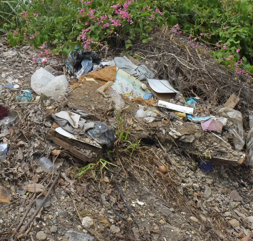 Personas que habitan al borde de la avenida Ribereña, en el tramo comprendido entre las calles 37 y 40, han manifestado su descontento por un vertedero improvisado en la zona, dando pie a fuertes hedores y la proliferación de moscas y mosquitos que afectan la calidad de vida de la gente en comunidades cercanas