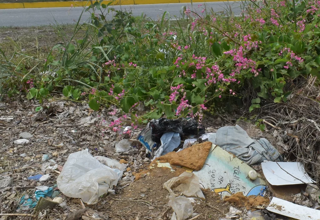 Personas que habitan al borde de la avenida Ribereña, en el tramo comprendido entre las calles 37 y 40, han manifestado su descontento por un vertedero improvisado en la zona, dando pie a fuertes hedores y la proliferación de moscas y mosquitos que afectan la calidad de vida de la gente en comunidades cercanas