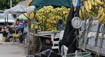 Productores en angustia por carreteras en deterioro