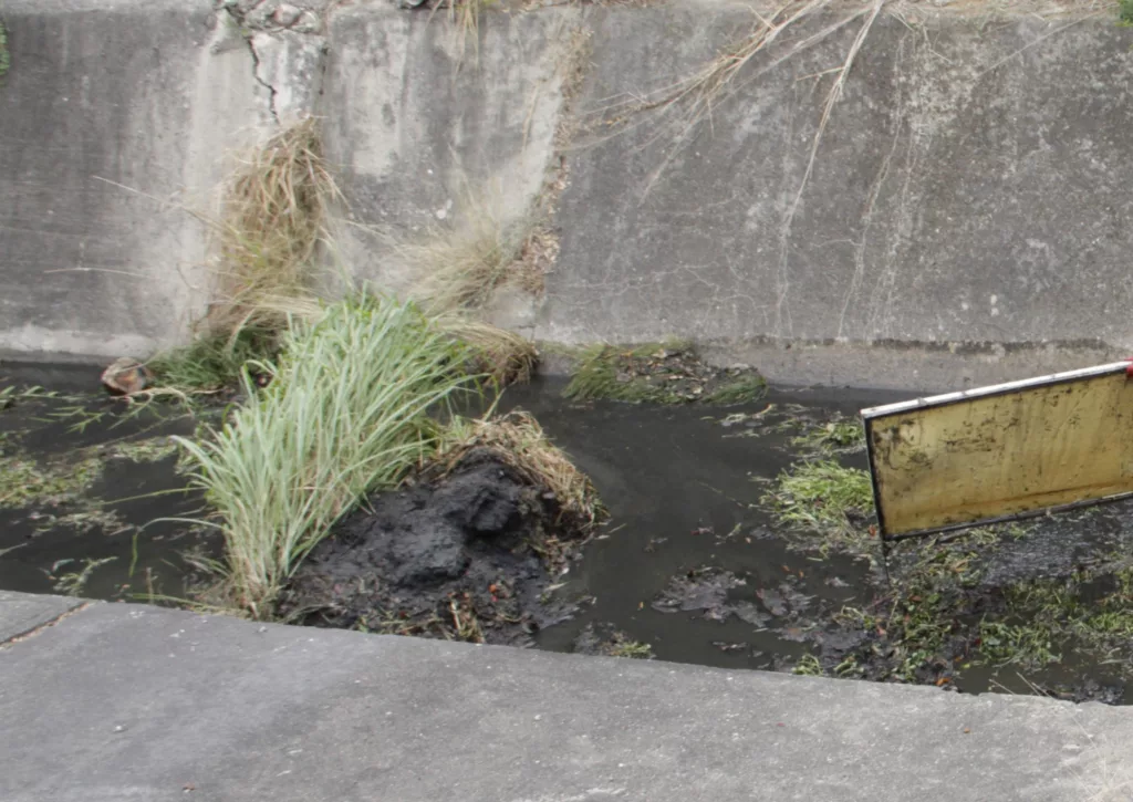 La Empresa Municipal de Infraestructura y Conservación Ambiental (Emica), bajo la dirección de su presidenta Angélica Yépez, ha llevado a cabo extensas labores de limpieza y saneamiento en puntos críticos de la ciudad como algunas quebradas, incluyendo la quebrada La Pastora y los importantes sistemas de drenaje X y Z. Estas acciones buscan prevenir obstrucciones y mitigar posibles riesgos ante la venidera temporada de lluvias.