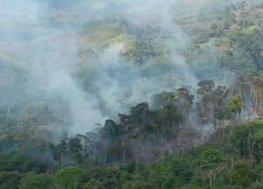 "Abre Brecha" fundación ecoambientalista